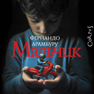 Обложка книги «Мальчик»