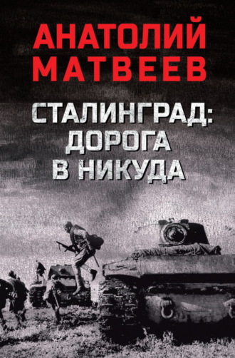 Обложка книги «Сталинград: дорога в никуда»