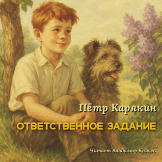 Обложка книги «Ответственное задание»