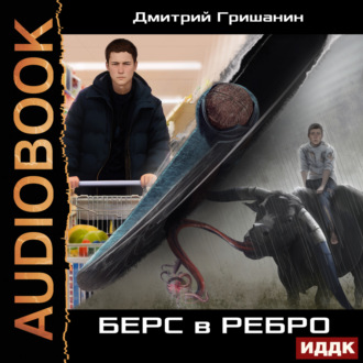 Обложка книги «Берс – 1. Берс в ребро»