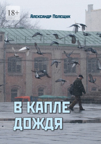 Обложка книги «В капле дождя»
