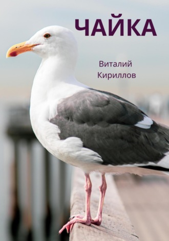 Обложка книги «Чайка»