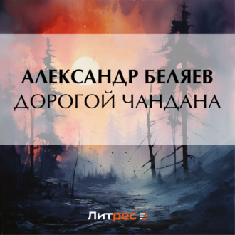 Обложка книги «Дорогой Чандана»