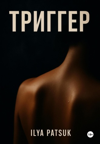 Обложка книги «Триггер»