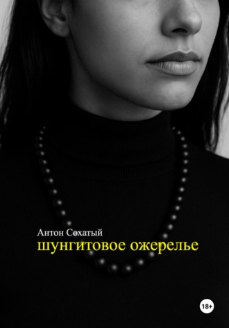 Обложка книги «Шунгитовое ожерелье»