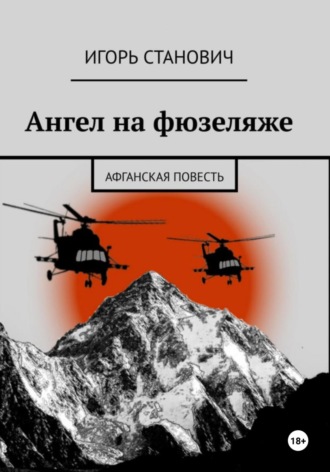 Обложка книги «Ангел на фюзеляже»
