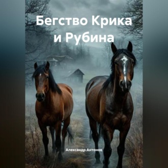 Обложка книги «Бегство Крика и Рубина»