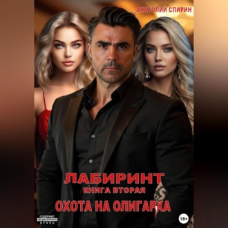 Обложка книги «Лабиринт. Книга вторая. Охота на олигарха»