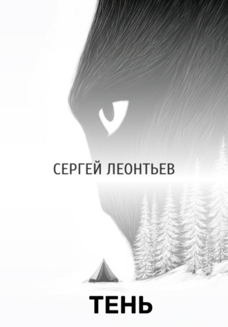 Обложка книги «Тень»