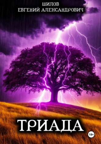 Обложка книги «Триада»