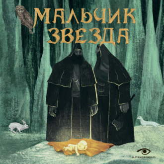 Обложка книги «Мальчик-Звезда»