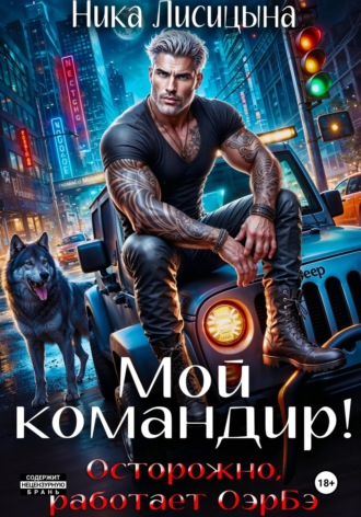 Обложка книги «Мой командир!»