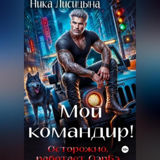 Обложка книги «Мой командир!»