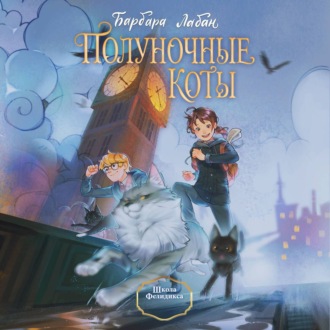Обложка книги «Школа Фелидиксов»