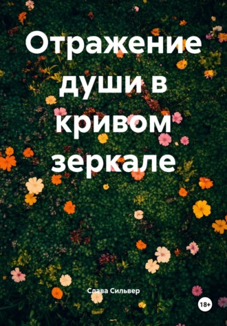 Обложка книги «Отражение души в кривом зеркале»