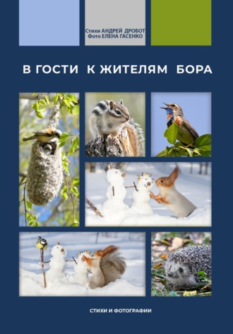 Обложка книги «В гости к жителям бора»