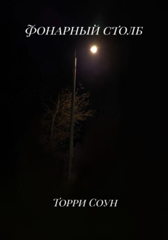 Обложка книги «Фонарный столб»