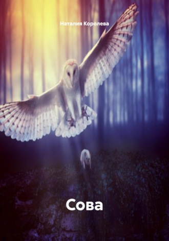 Обложка книги «Сова»
