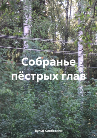 Обложка книги «Собранье пёстрых глав»
