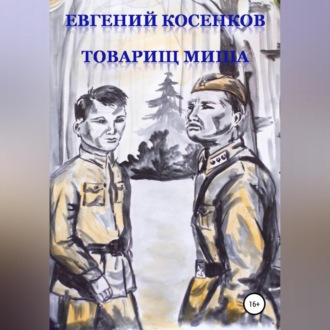 Обложка книги «Товарищ Миша»