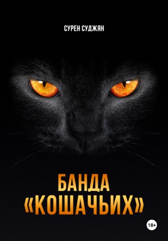 Обложка книги «БАНДА «КОШАЧЬИХ»»