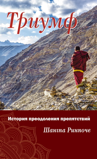 Обложка книги «Триумф. История преодоления препятствий»