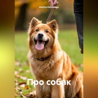 Обложка книги «Про собак»