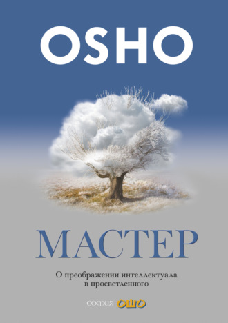 Обложка книги «Мастер. О преображении интеллектуала в просветленного»
