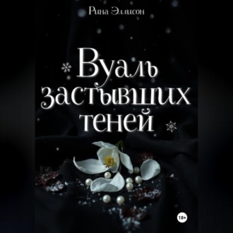 Обложка книги «Вуаль застывших теней»