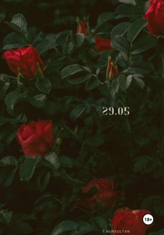 Обложка книги «29.05»