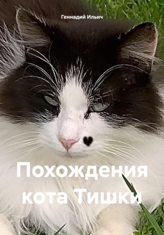 Обложка книги «Похождения кота Тишки»