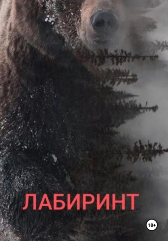 Обложка книги «Лабиринт»