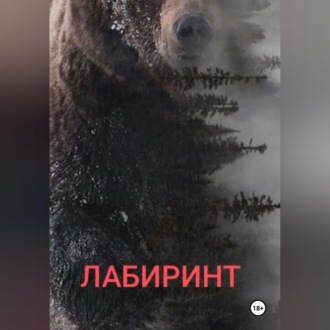 Обложка книги «Лабиринт»