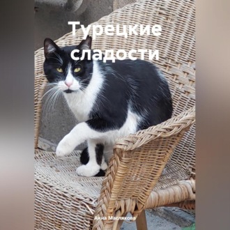 Обложка книги «Турецкие сладости»