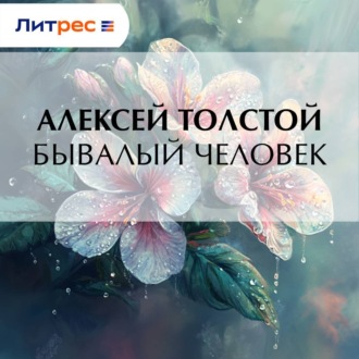 Обложка книги «Бывалый человек»
