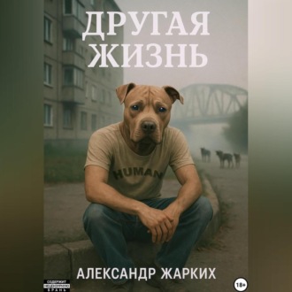 Обложка книги «Другая жизнь»