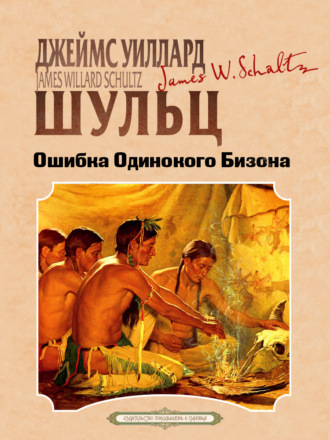 Обложка книги «Ошибка одинокого бизона»