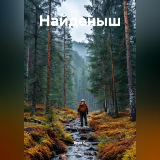 Обложка книги «Найденыш»