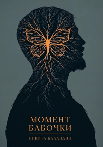 Обложка книги «Момент Бабочки»