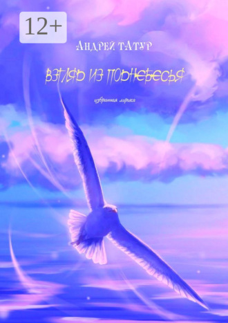 Взгляд из поднебесья. Избранная лирика. 