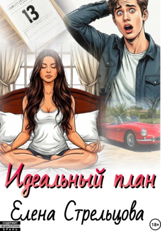 Обложка книги «Идеальный план»