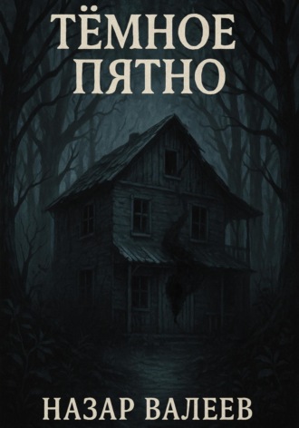 Обложка книги «Тёмное пятно»