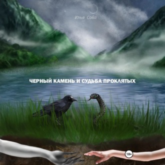 Обложка книги «Чёрный камень и судьба проклятых»