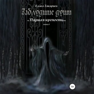 Обложка книги «Заблудшие души. Падшая крепость»