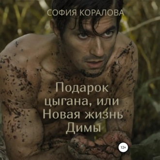 Обложка книги «Подарок цыгана, или Новая жизнь Димы»