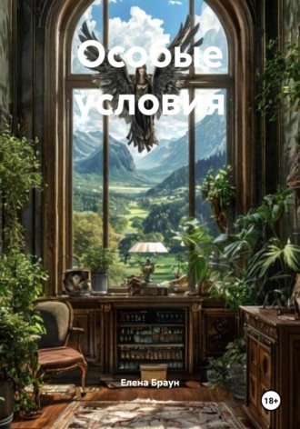 Обложка книги «Особые условия»