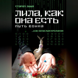 Обложка книги «Лила, как она есть. Путь воина»