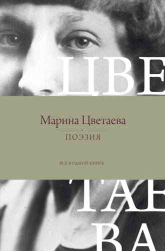 Обложка книги «Поэзия. Все в одной книге»