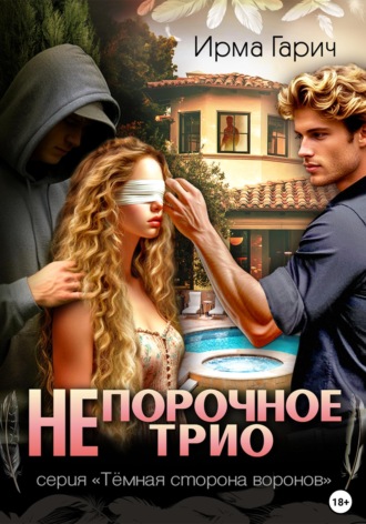 Обложка книги «НЕпорочное трио»