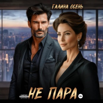 Обложка книги «Не пара»